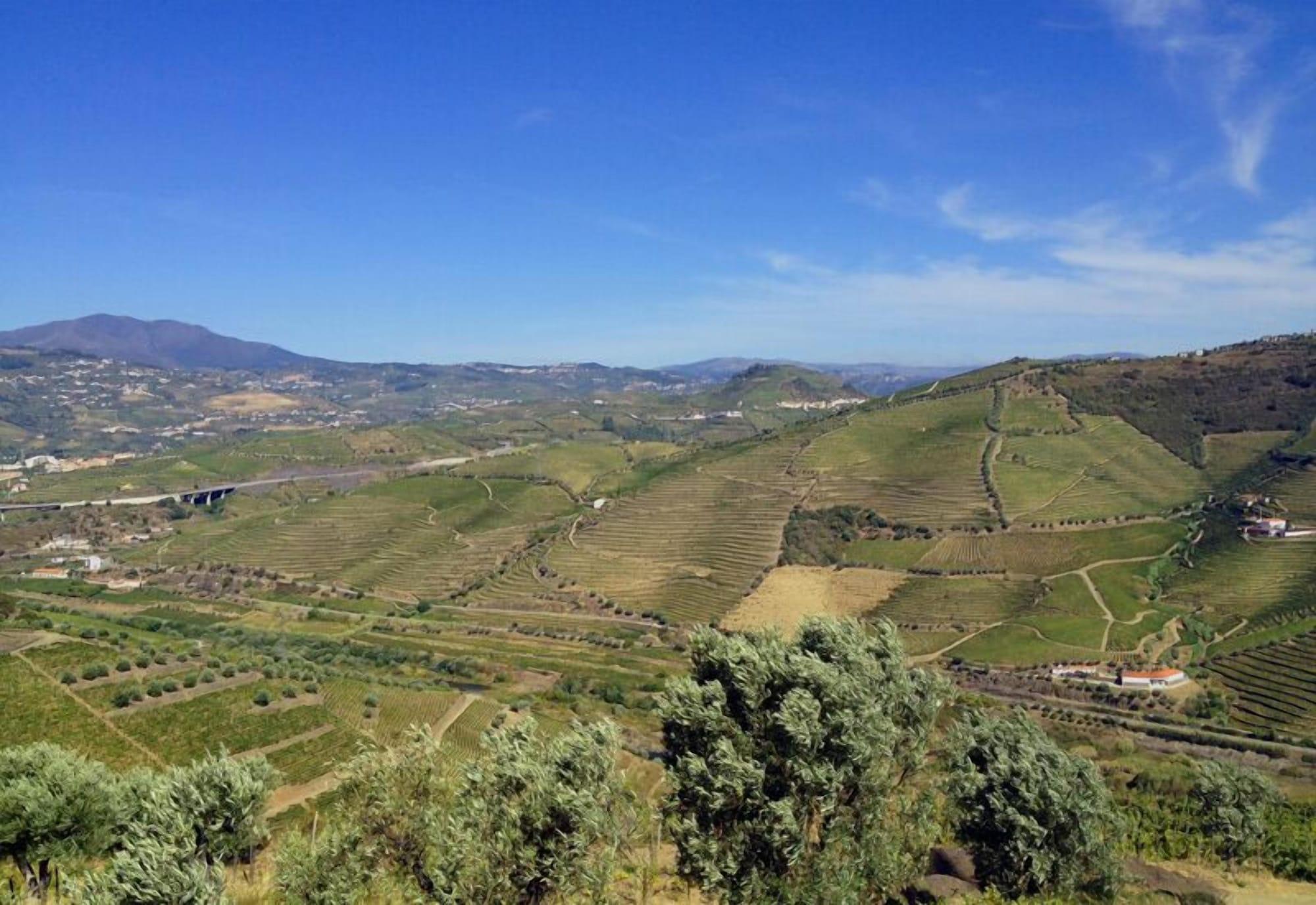 Quinta De Casaldronho Wine Hotel Lamego Exterior photo
